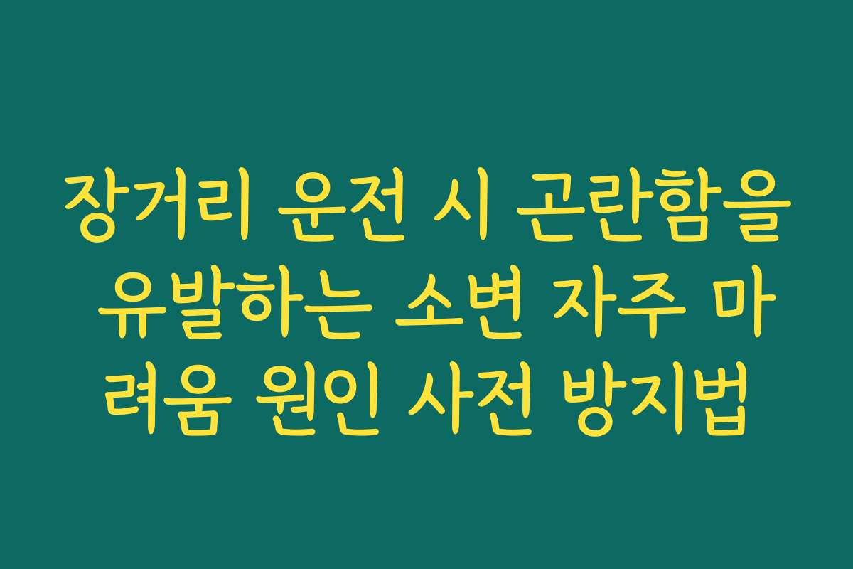 장거리 운전 시 곤란함을 유발하는 소변 자주 마려움 원인 사전 방지법