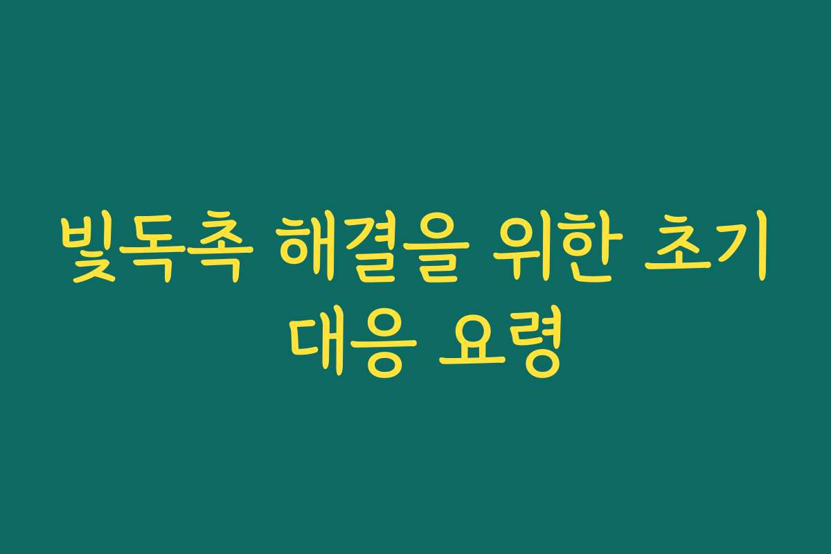 빛독촉 해결을 위한 초기 대응 요령 빛독촉 해결을 위한 초기 대응 요령