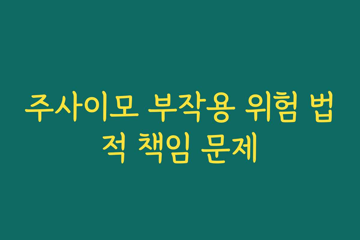 주사이모 부작용 위험 법적 책임 문제 주사이모 부작용 위험 법적 책임 문제