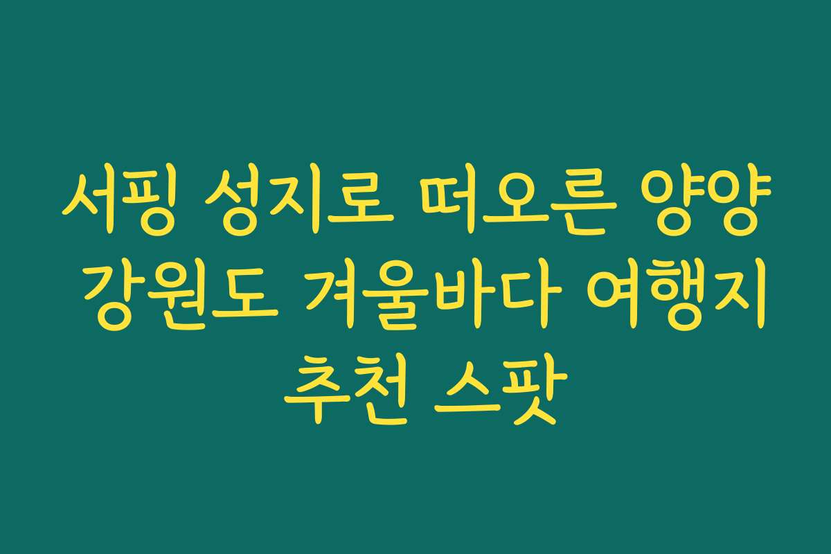 서핑 성지로 떠오른 양양 강원도 겨울바다 여행지 추천 스팟