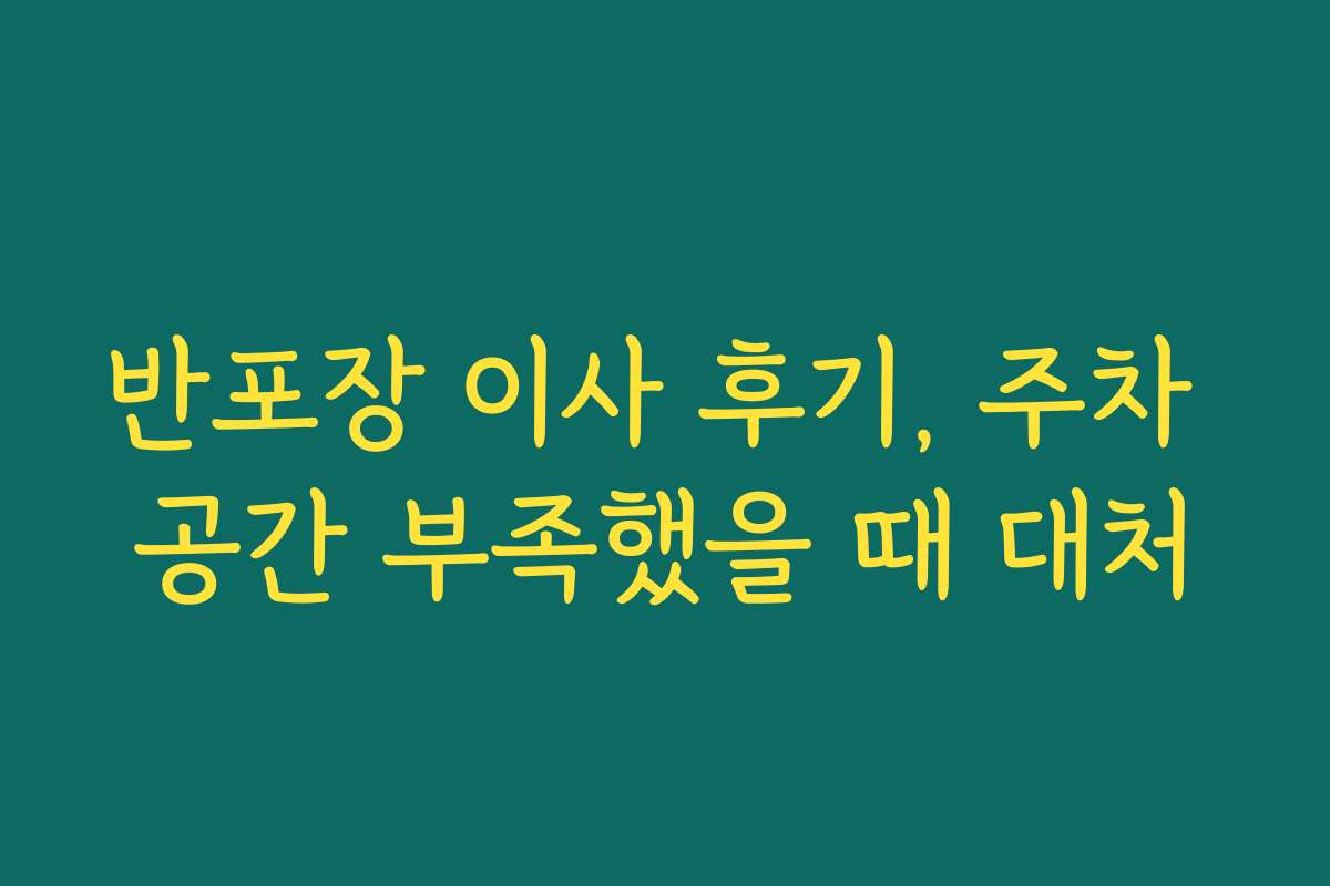 반포장 이사 후기, 주차 공간 부족했을 때 대처