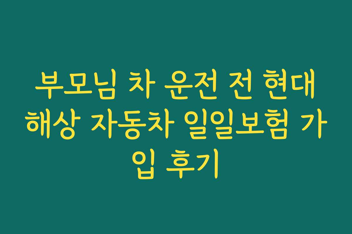 부모님 차 운전 전 현대해상 자동차 일일보험 가입 후기