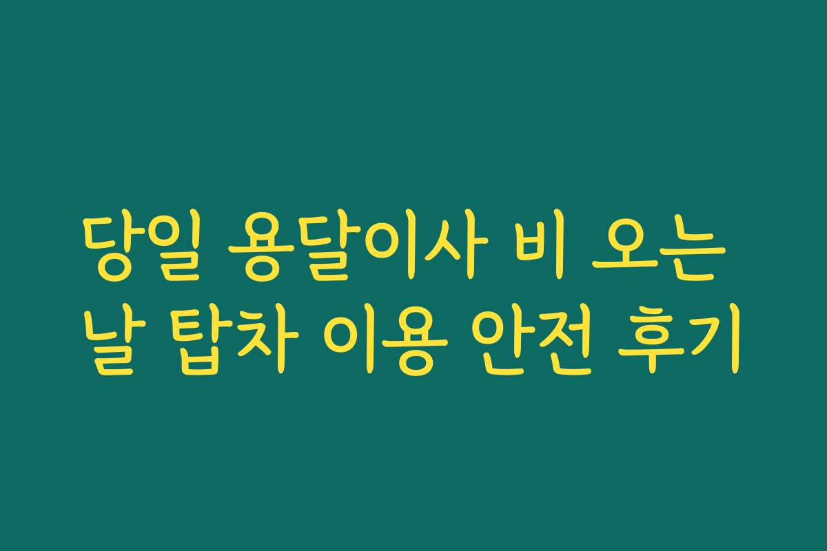 당일 용달이사 비 오는 날 탑차 이용 안전 후기