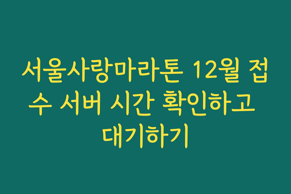 서울사랑마라톤 12월 접수 서버 시간 확인하고 대기하기