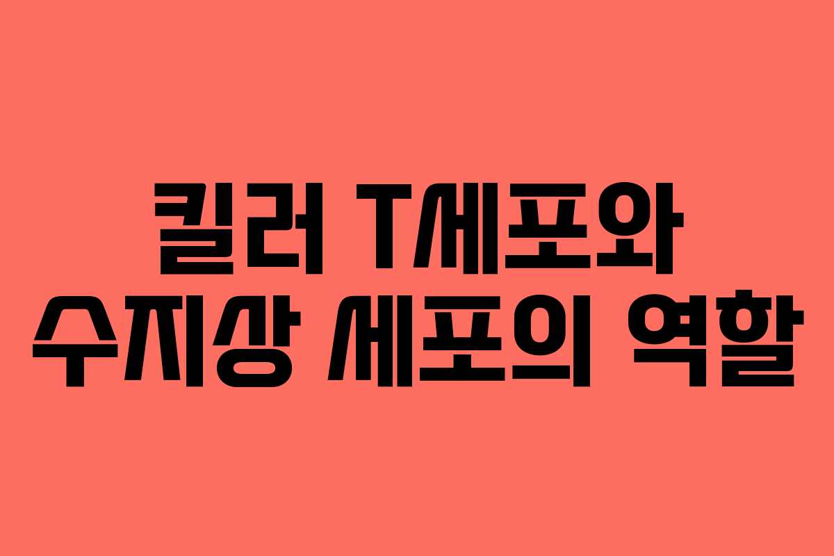 킬러 T세포와 수지상 세포의 역할 킬러 T세포와 수지상 세포의 역할