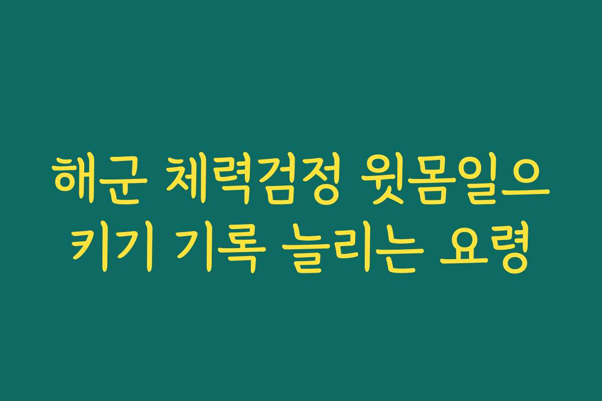 해군 체력검정 윗몸일으키기 기록 늘리는 요령 해군 체력검정 윗몸일으키기 기록 늘리는 요령