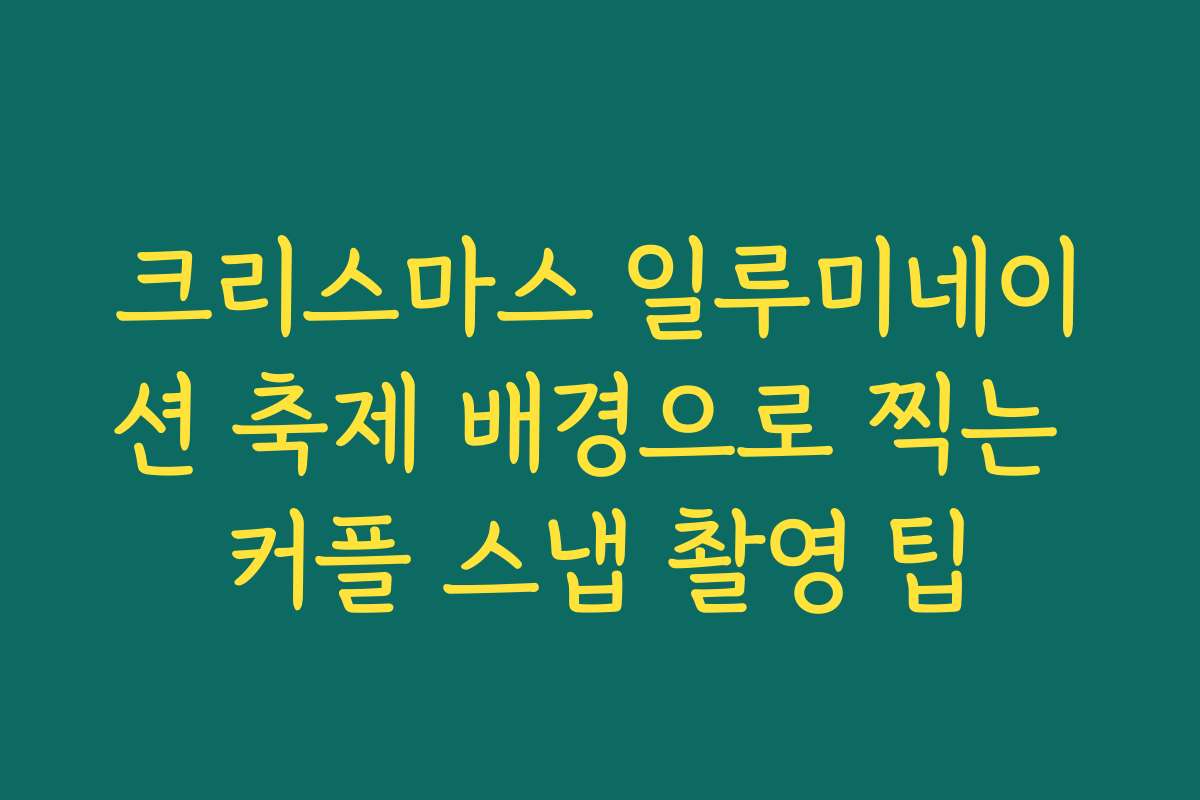 크리스마스 일루미네이션 축제 배경으로 찍는 커플 스냅 촬영 팁 크리스마스 일루미네이션 축제 배경으로 찍는 커플 스냅 촬영 팁