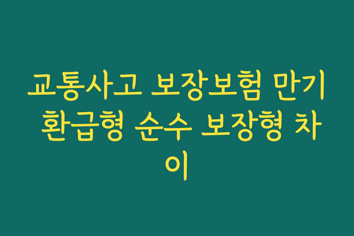 교통사고 보장보험 만기 환급형 순수 보장형 차이