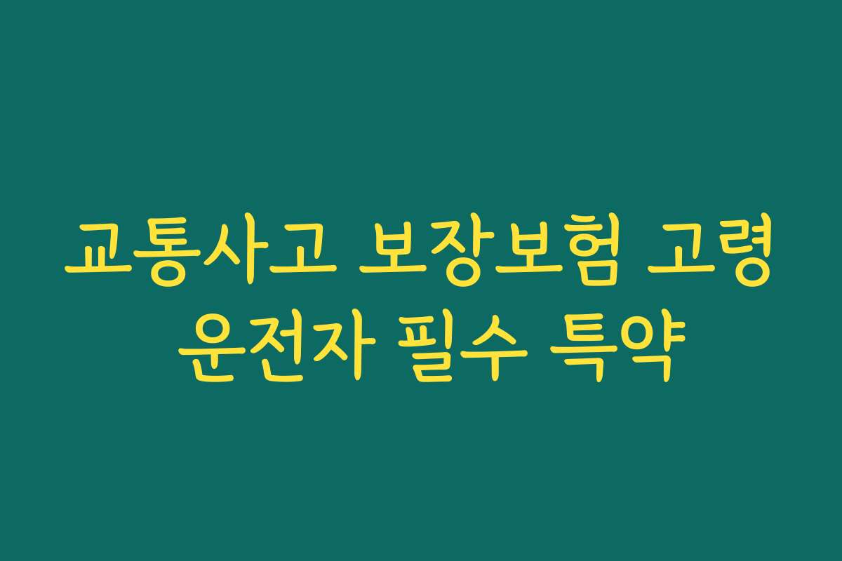 교통사고 보장보험 고령 운전자 필수 특약 교통사고 보장보험 고령 운전자 필수 특약