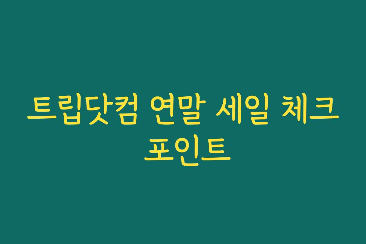 트립닷컴 연말 세일 체크 포인트 트립닷컴 연말 세일 체크 포인트