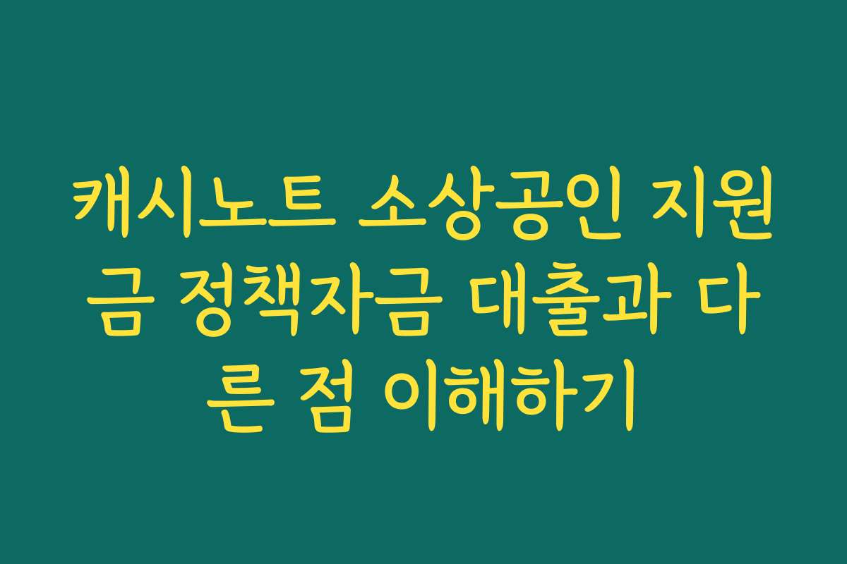 캐시노트 소상공인 지원금 정책자금 대출과 다른 점 이해하기 캐시노트 소상공인 지원금 정책자금 대출과 다른 점 이해하기
