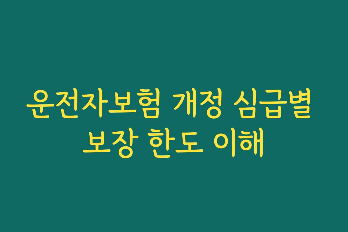 운전자보험 개정 심급별 보장 한도 이해 운전자보험 개정 심급별 보장 한도 이해