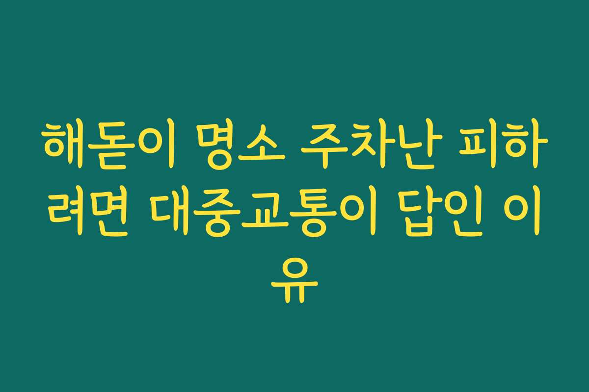 해돋이 명소 주차난 피하려면 대중교통이 답인 이유