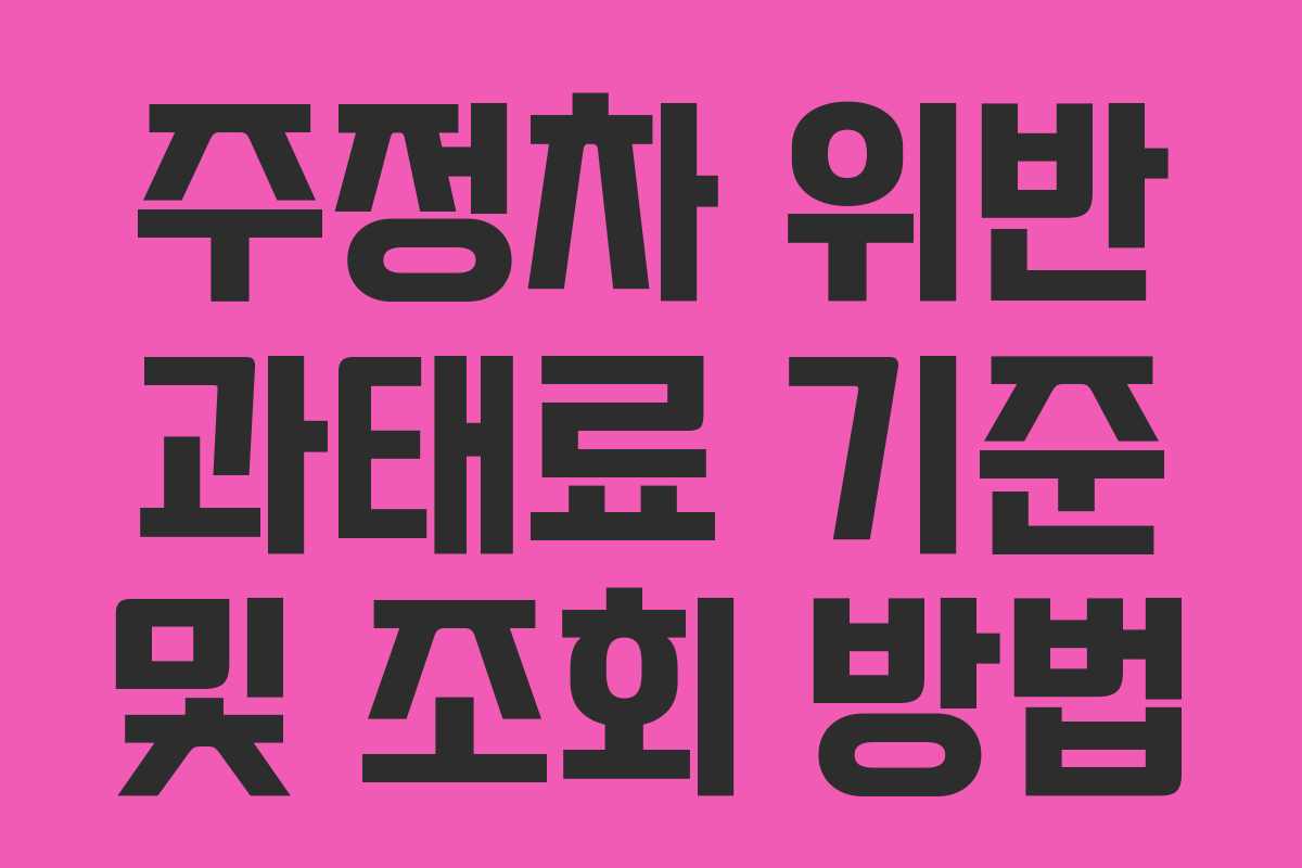 주정차 위반 과태료 기준 및 조회 방법 주정차 위반 과태료 기준 및 조회 방법