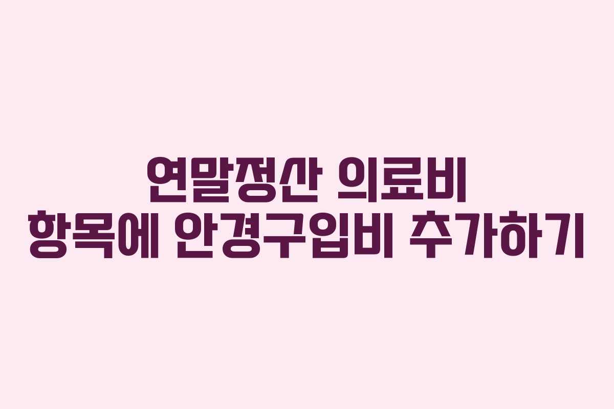 연말정산 의료비 항목에 안경구입비 추가하기