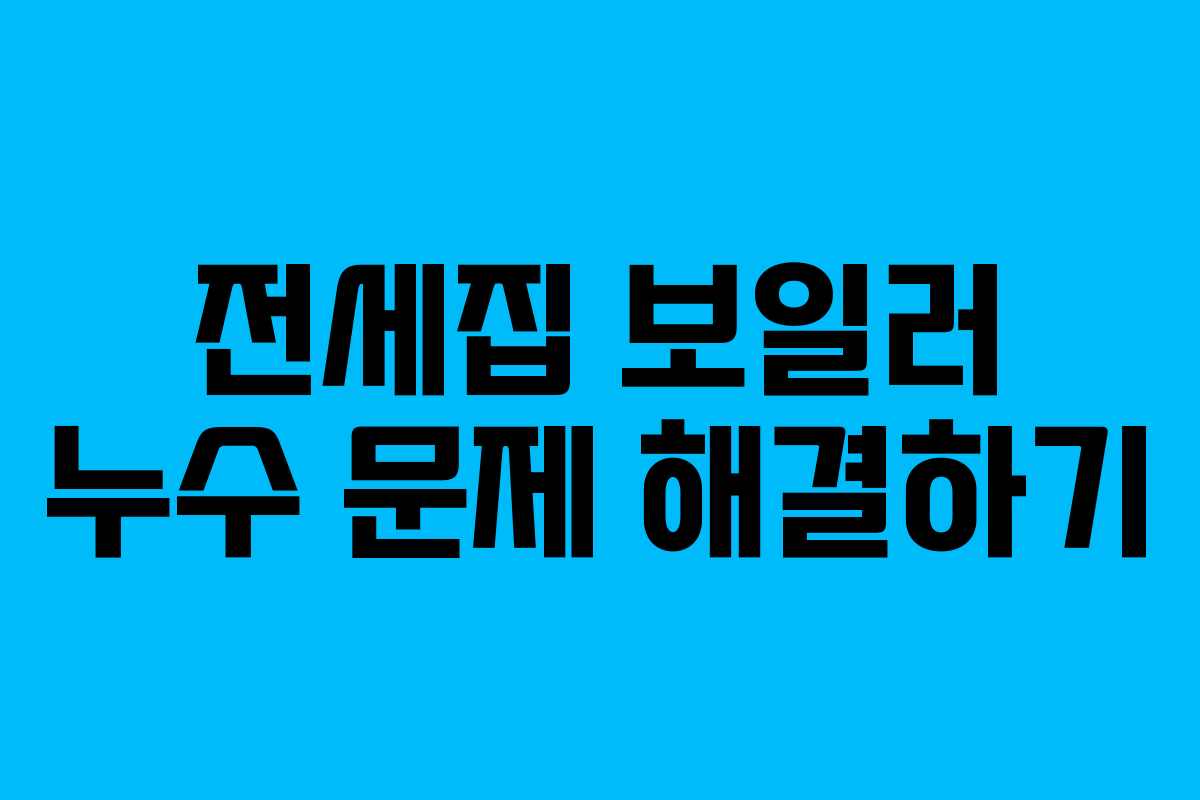 전세집 보일러 누수 문제 해결하기 전세집 보일러 누수 문제 해결하기