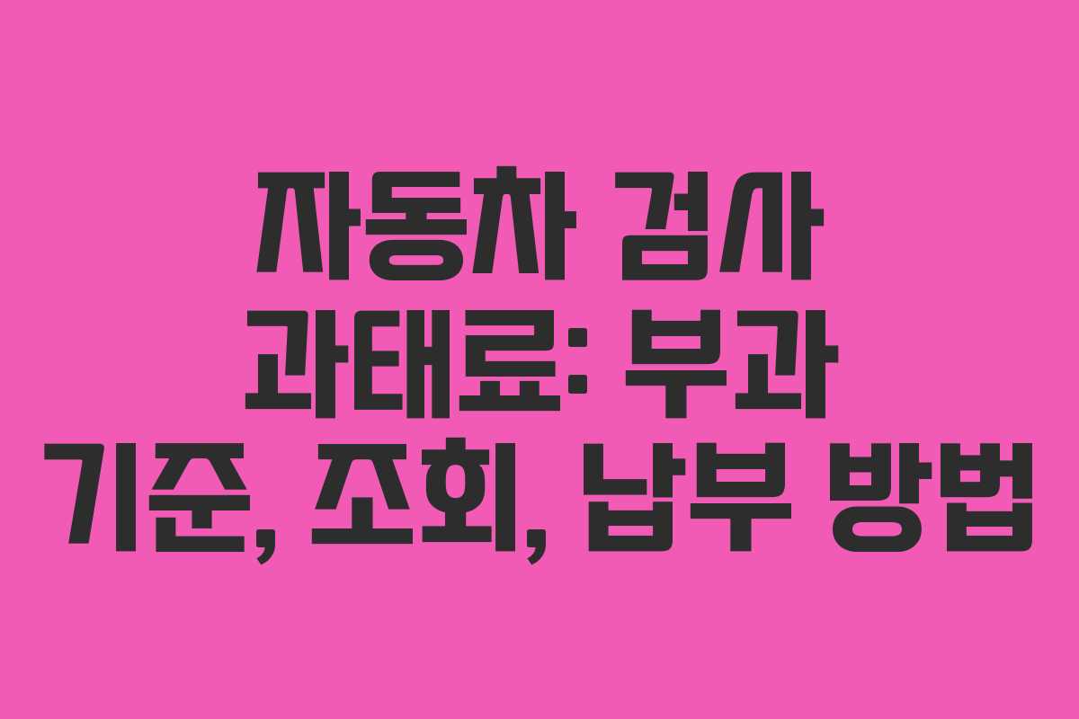 자동차 검사 과태료: 부과 기준, 조회, 납부 방법