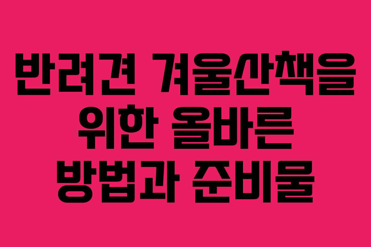 반려견 겨울산책을 위한 올바른 방법과 준비물