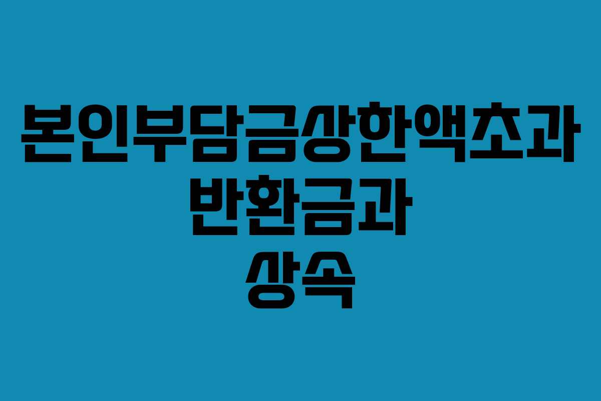 본인부담금상한액초과 반환금과 상속