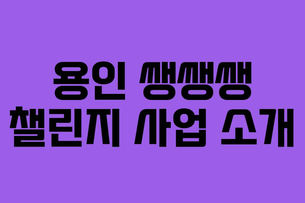 용인 쌩쌩쌩 챌린지 사업 소개