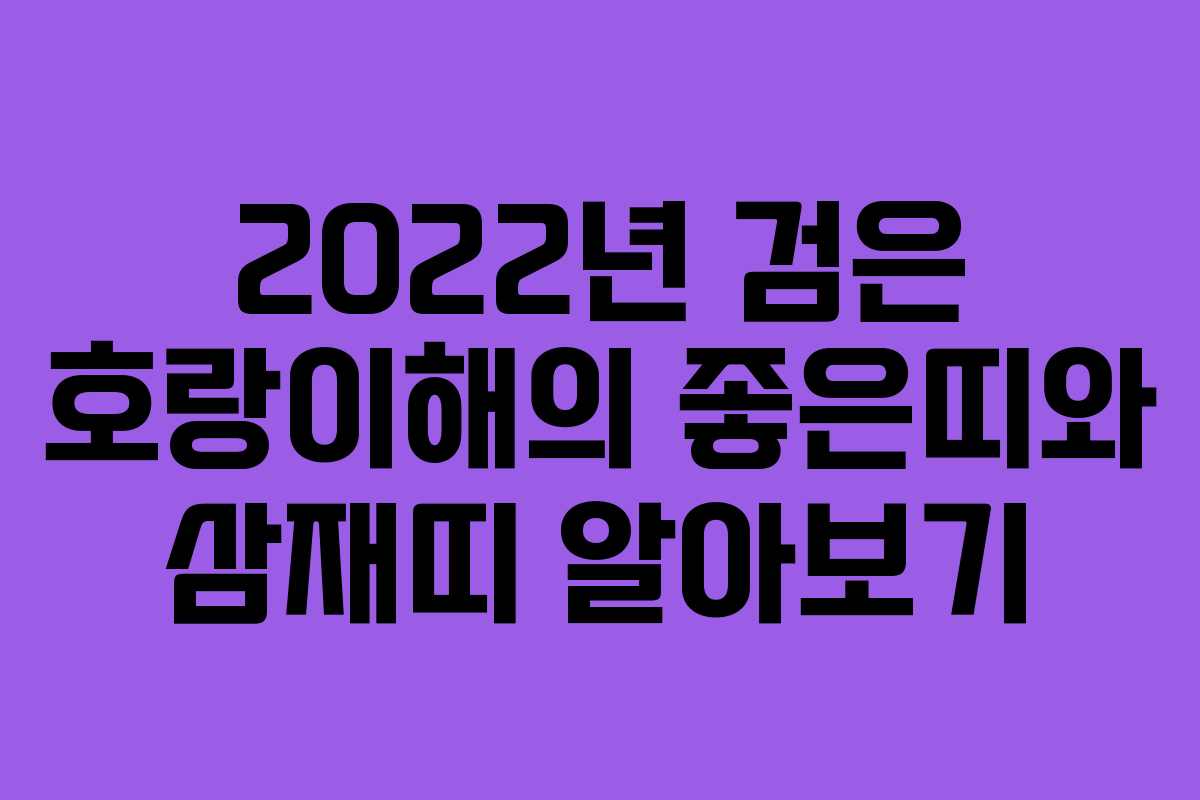 2022년 검은 호랑이해의 좋은띠와 삼재띠 알아보기