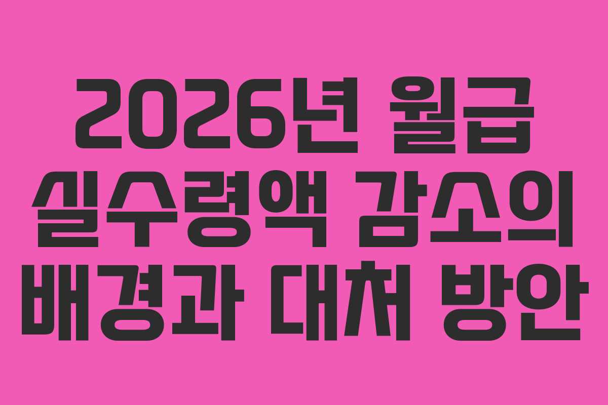 2026년 월급 실수령액 감소의 배경과 대처 방안 2026년 월급 실수령액 감소의 배경과 대처 방안