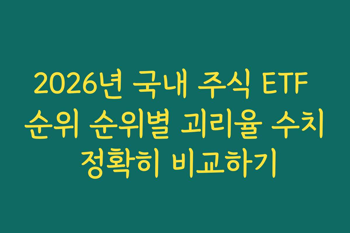 2026년 국내 주식 ETF 순위 순위별 괴리율 수치 정확히 비교하기 2026년 국내 주식 ETF 순위 순위별 괴리율 수치 정확히 비교하기