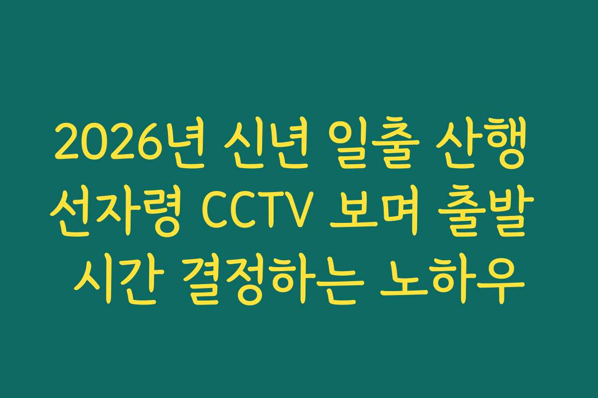 2026년 신년 일출 산행 선자령 CCTV 보며 출발 시간 결정하는 노하우