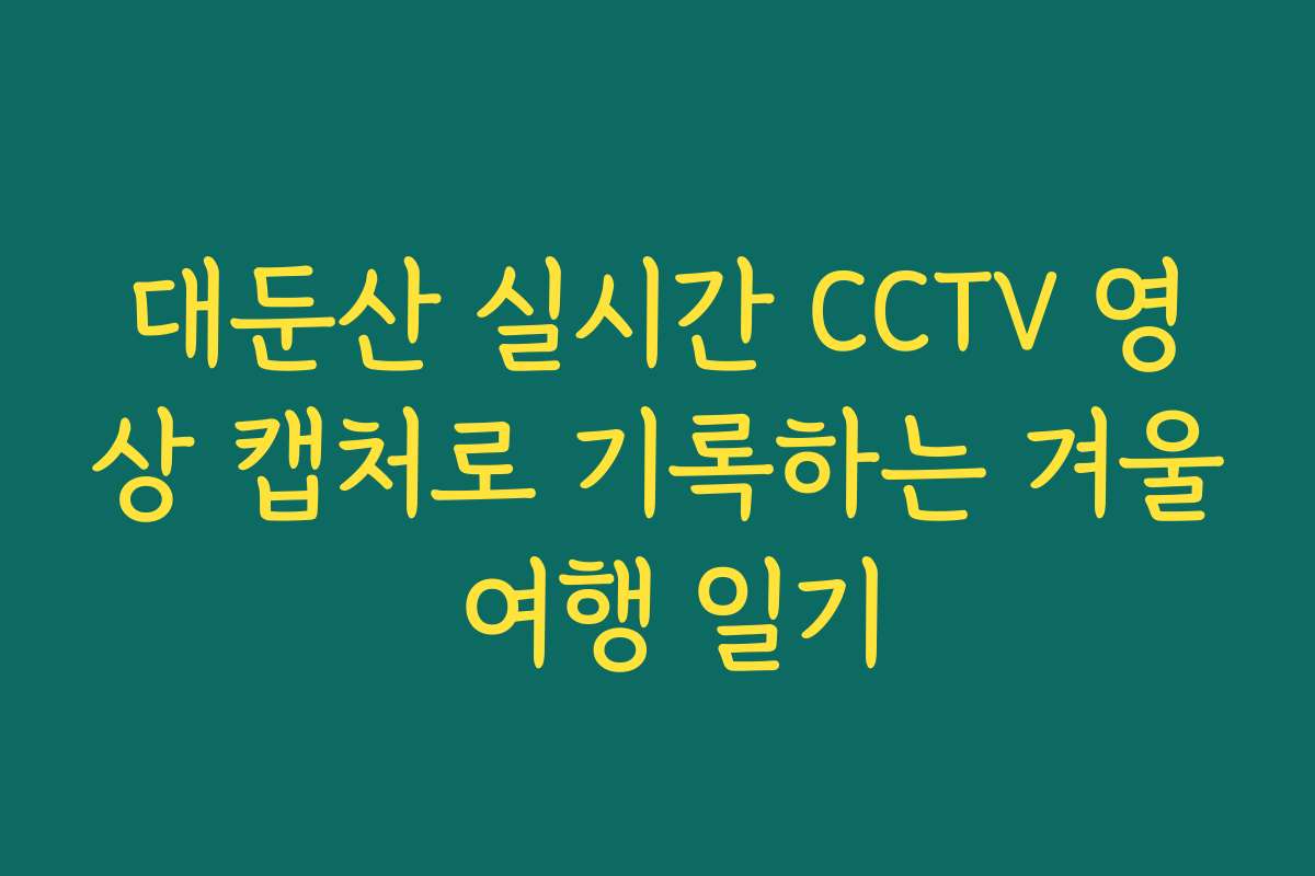 대둔산 실시간 CCTV 영상 캡처로 기록하는 겨울 여행 일기