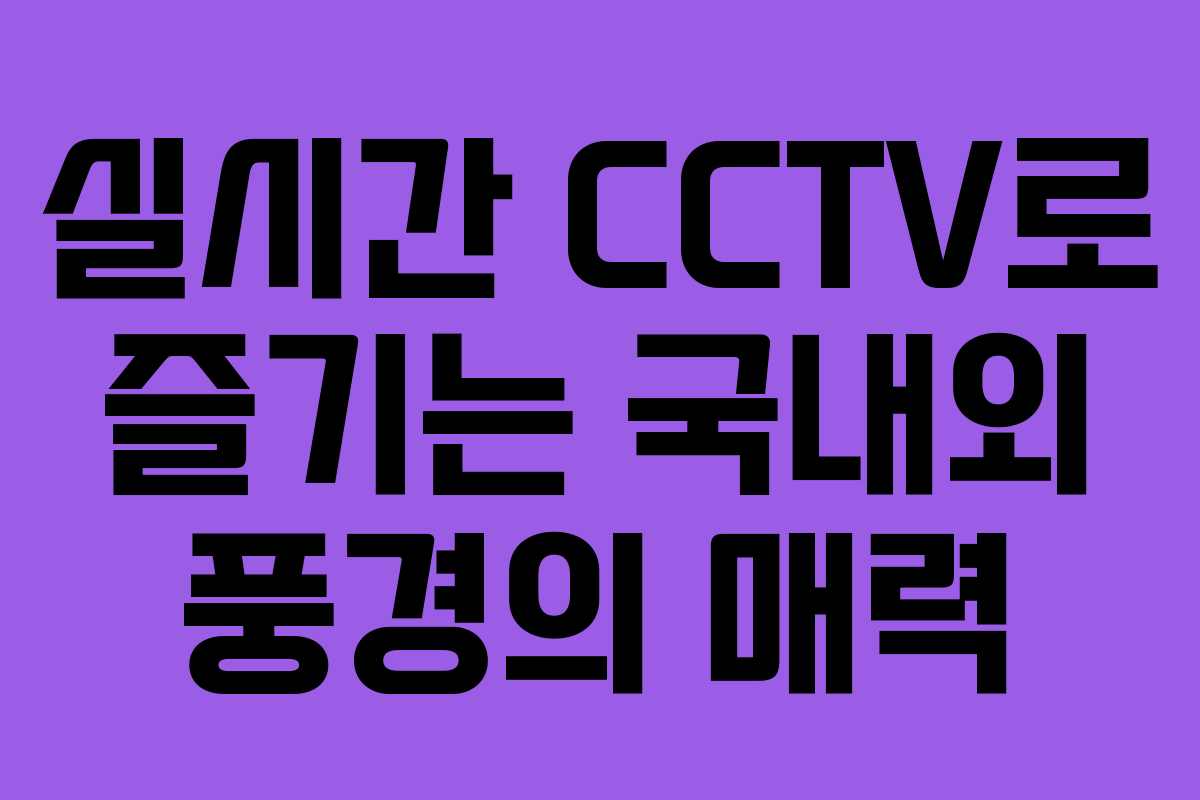 실시간 CCTV로 즐기는 국내외 풍경의 매력