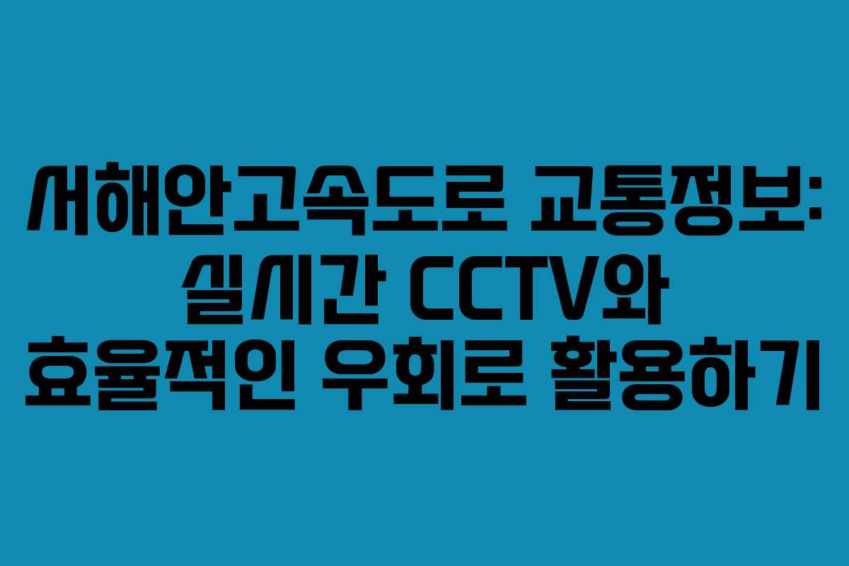 서해안고속도로 교통정보: 실시간 CCTV와 효율적인 우회로 활용하기