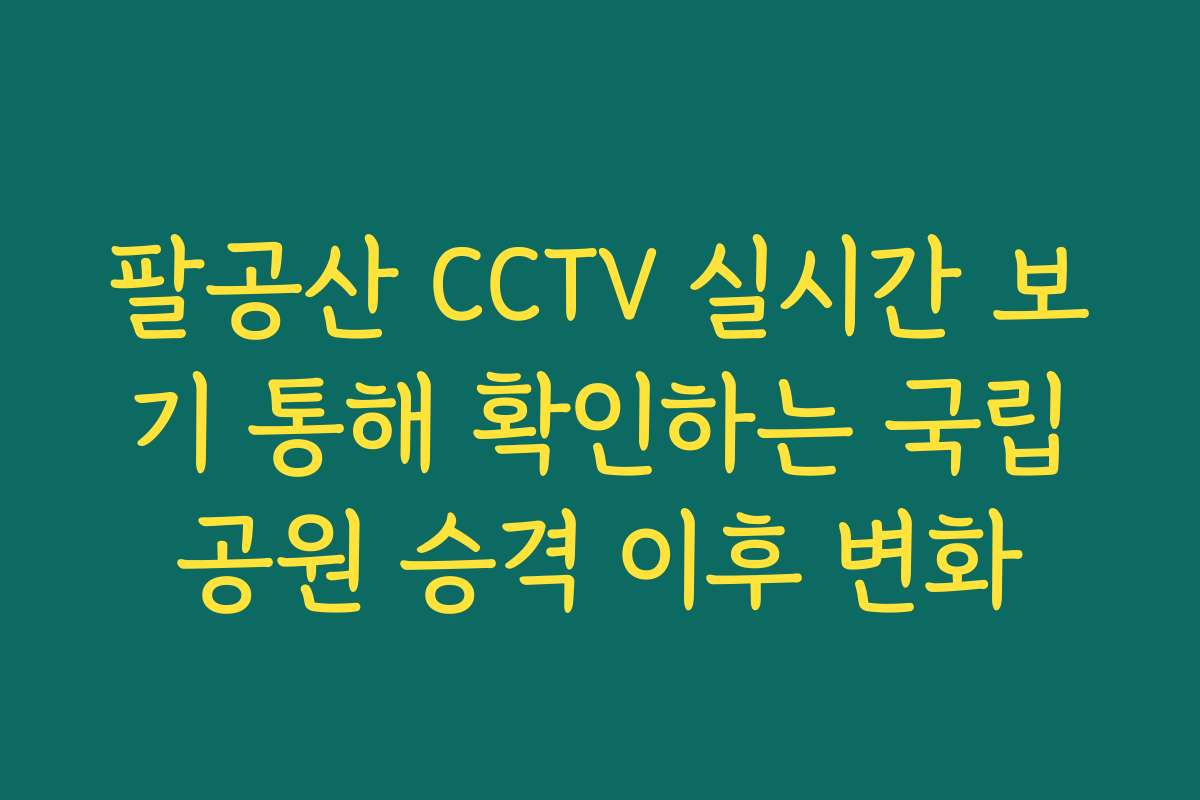 팔공산 CCTV 실시간 보기 통해 확인하는 국립공원 승격 이후 변화