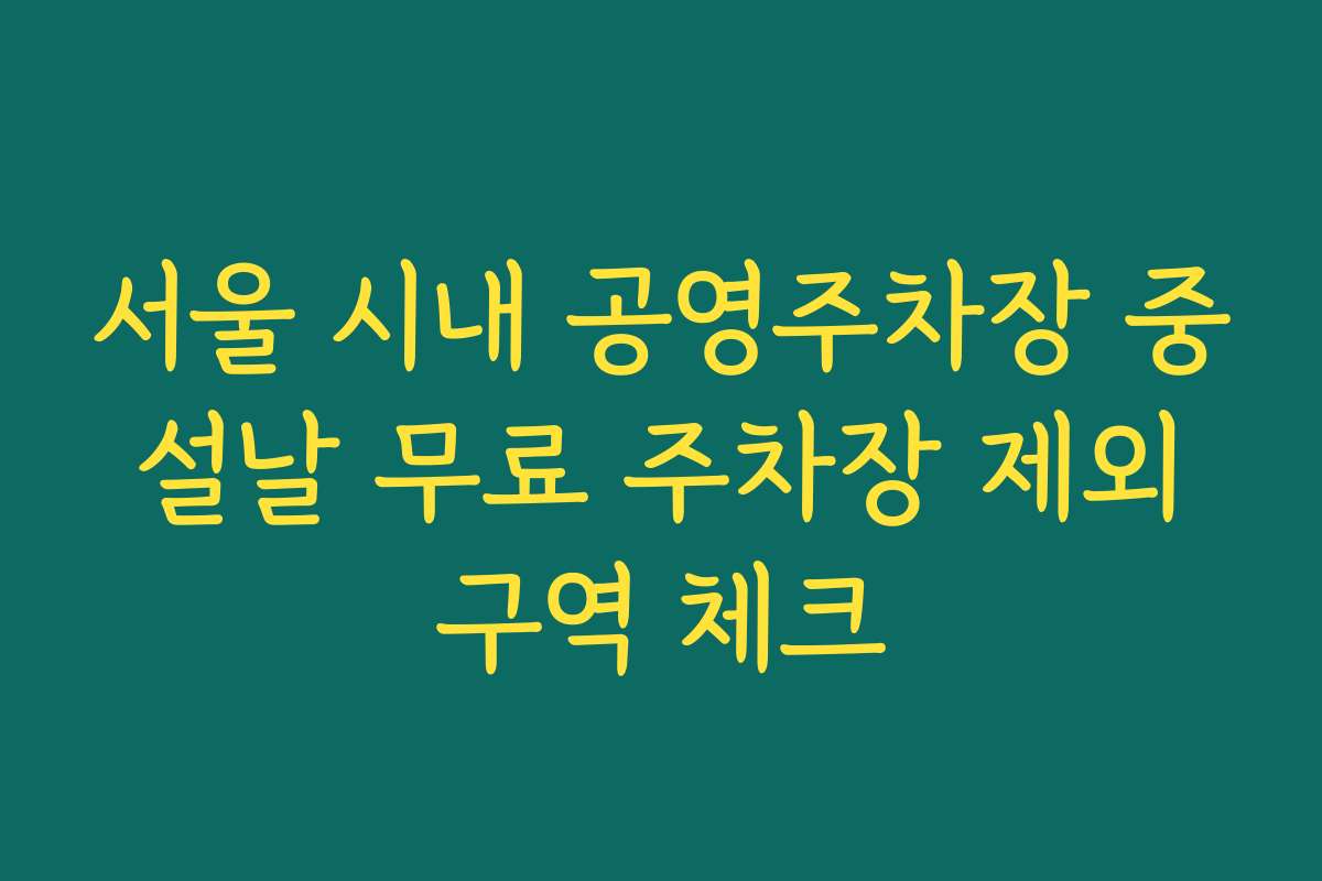 서울 시내 공영주차장 중 설날 무료 주차장 제외 구역 체크