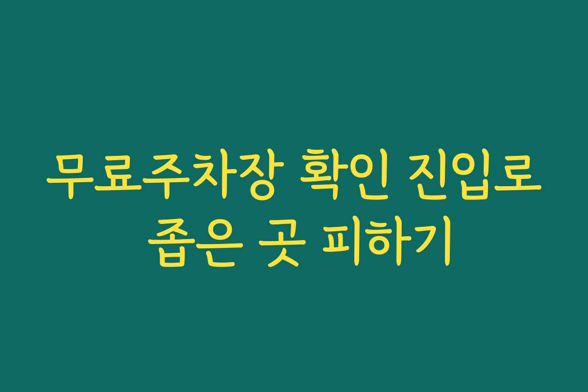 무료주차장 확인 진입로 좁은 곳 피하기
