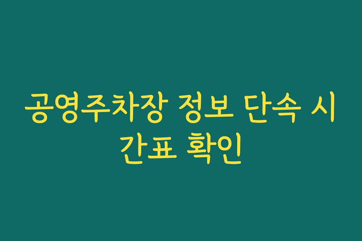 공영주차장 정보 단속 시간표 확인