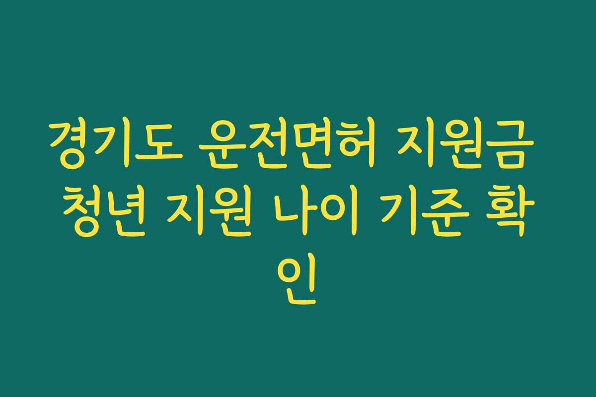 경기도 운전면허 지원금 청년 지원 나이 기준 확인
