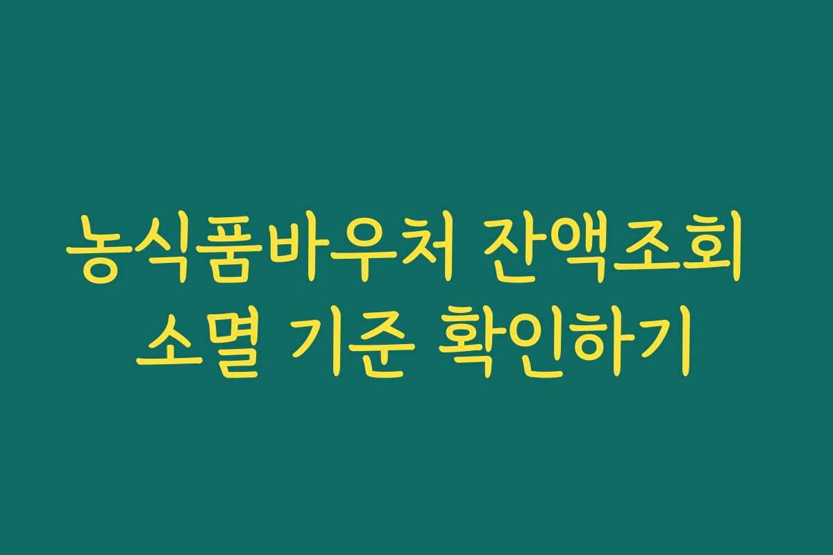 농식품바우처 잔액조회 소멸 기준 확인하기