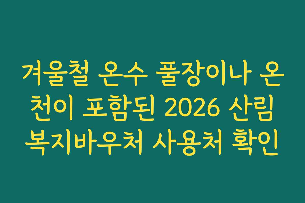 겨울철 온수 풀장이나 온천이 포함된 2026 산림복지바우처 사용처 확인