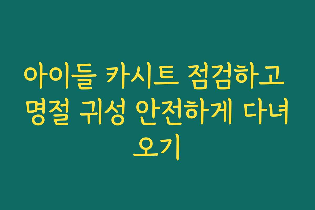 아이들 카시트 점검하고 명절 귀성 안전하게 다녀오기