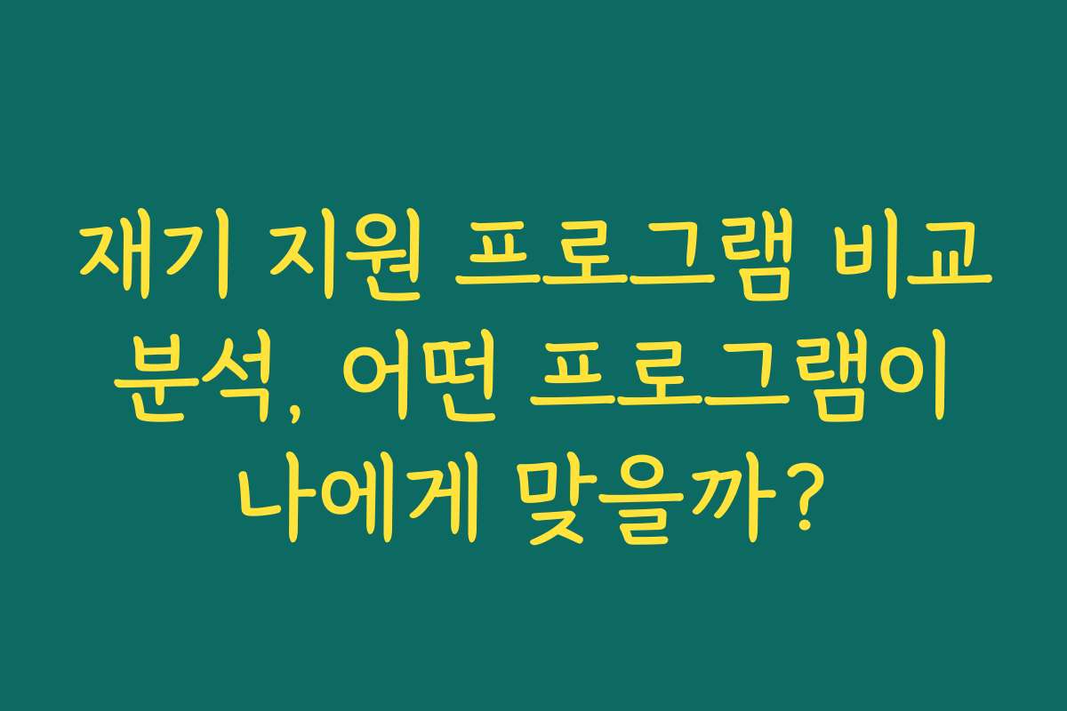 재기 지원 프로그램 비교 분석, 어떤 프로그램이 나에게 맞을까?