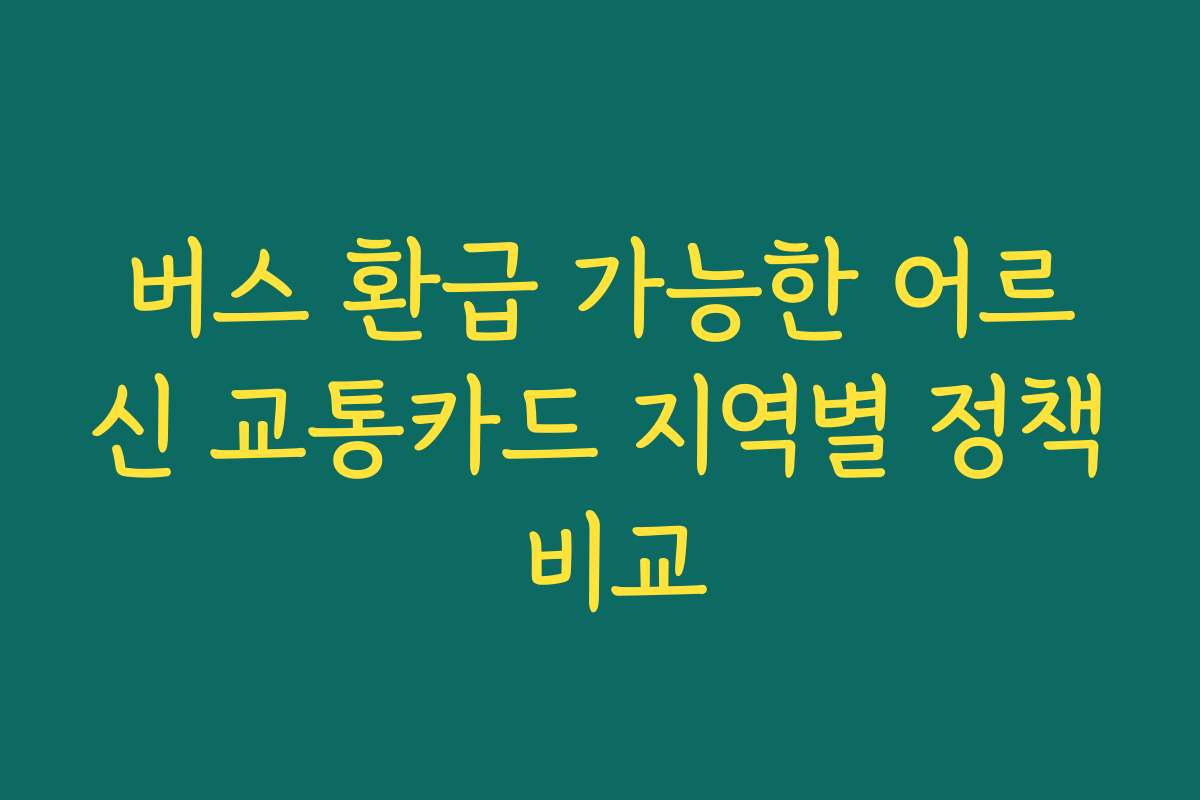 버스 환급 가능한 어르신 교통카드 지역별 정책 비교