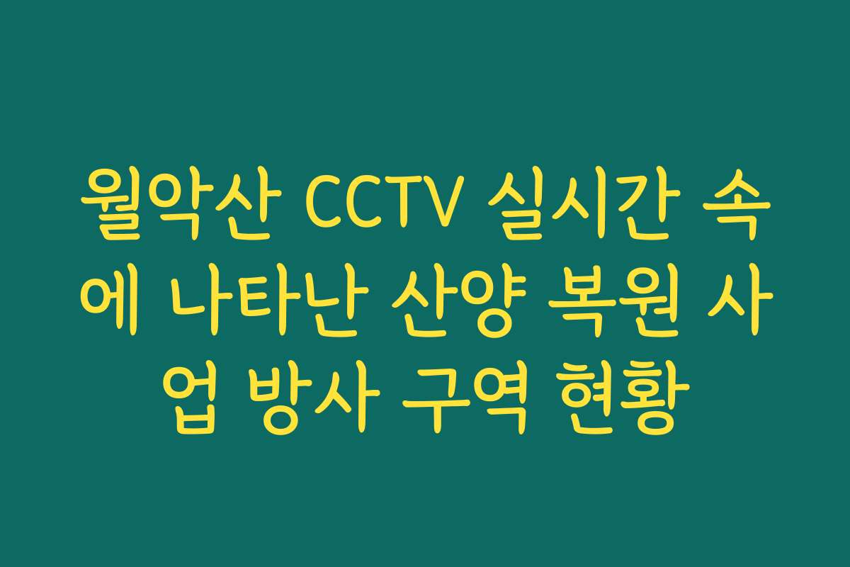 월악산 CCTV 실시간 속에 나타난 산양 복원 사업 방사 구역 현황