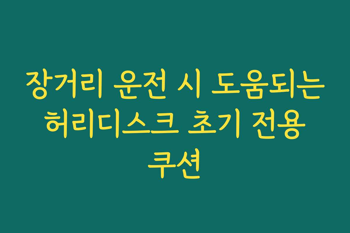 장거리 운전 시 도움되는 허리디스크 초기 전용 쿠션