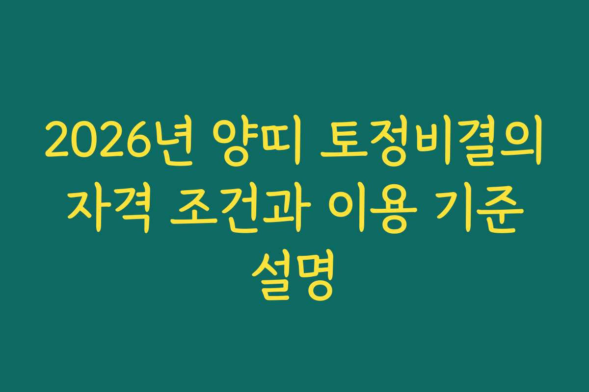 2026년 양띠 토정비결의 자격 조건과 이용 기준 설명