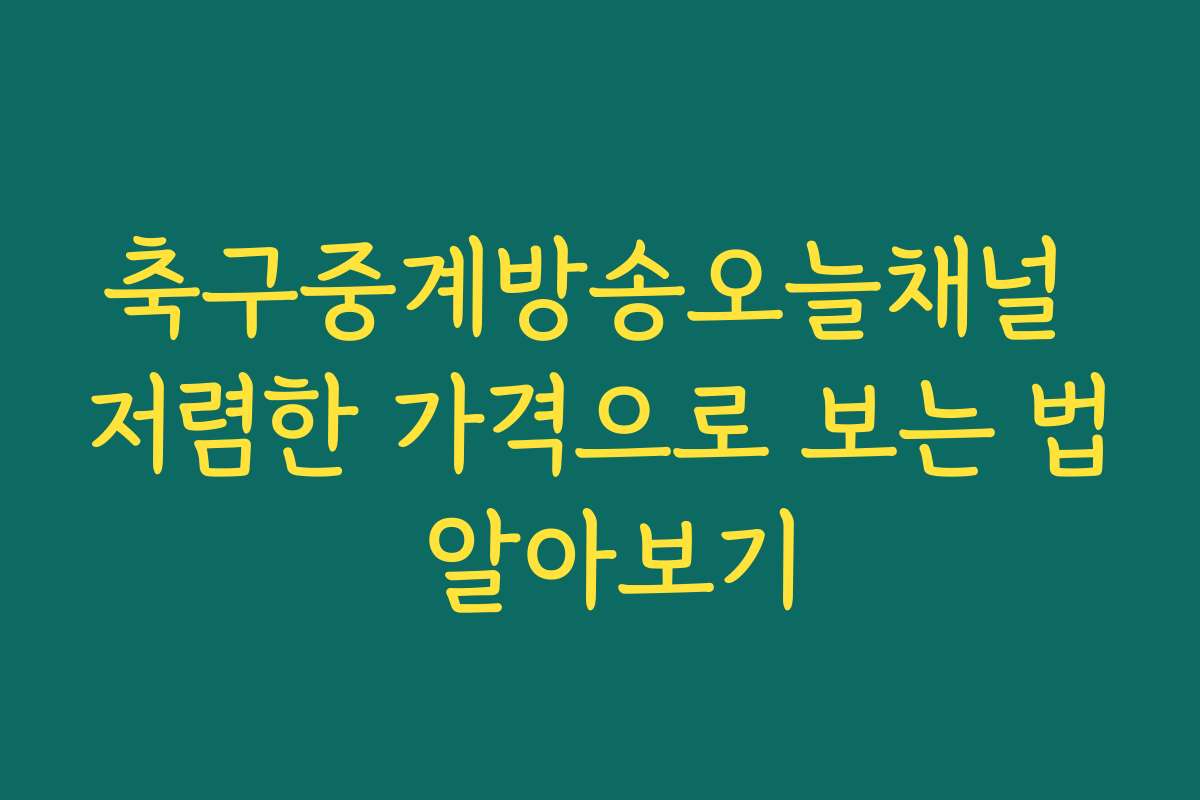 축구중계방송오늘채널 저렴한 가격으로 보는 법 알아보기