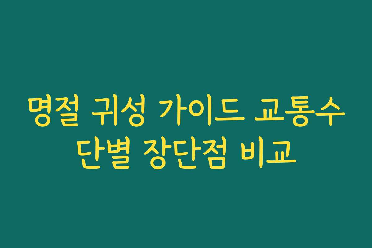 명절 귀성 가이드 교통수단별 장단점 비교