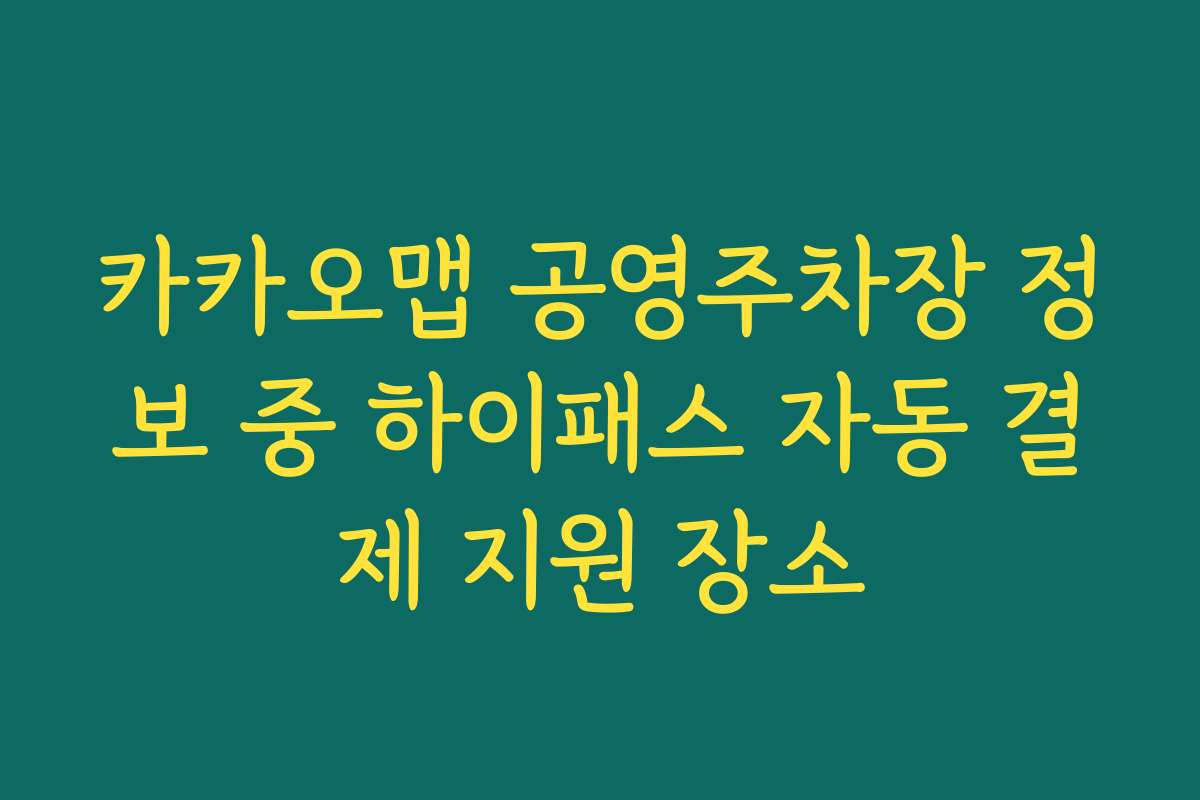 카카오맵 공영주차장 정보 중 하이패스 자동 결제 지원 장소