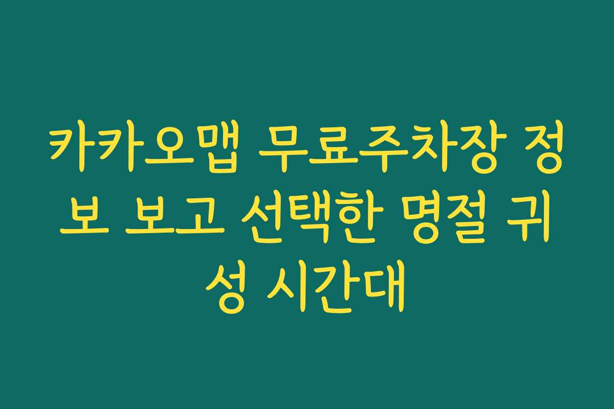 카카오맵 무료주차장 정보 보고 선택한 명절 귀성 시간대