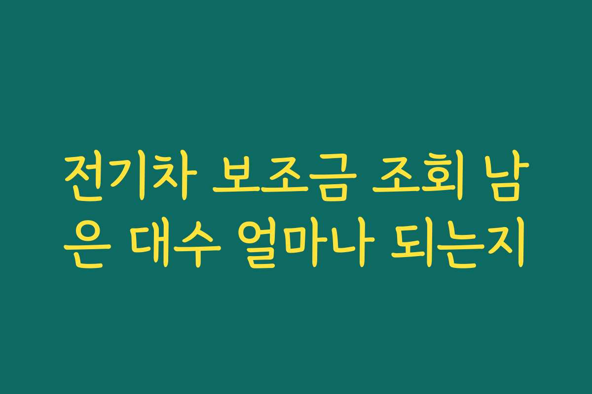 전기차 보조금 조회 남은 대수 얼마나 되는지