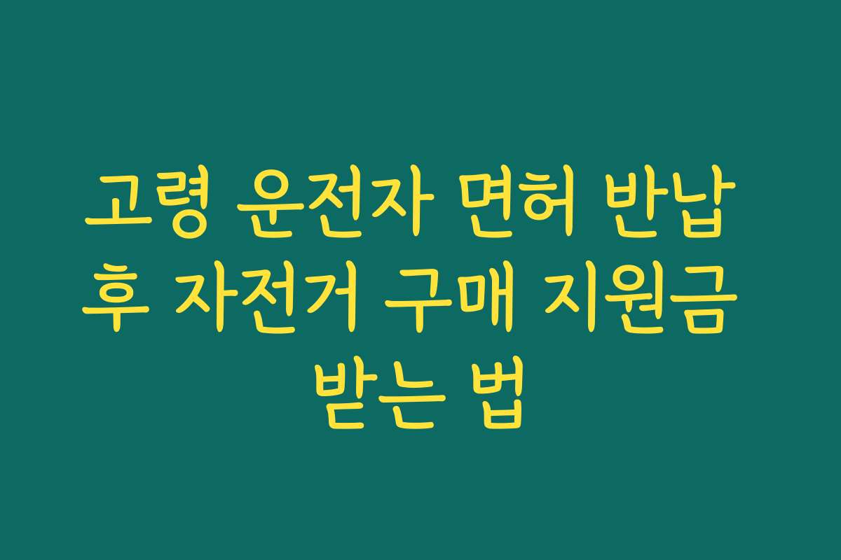 고령 운전자 면허 반납 후 자전거 구매 지원금 받는 법